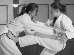 Ζίου Ζίτσου (Ju-Jutsu)