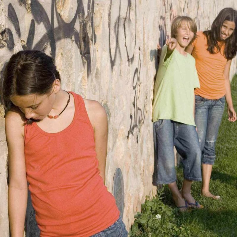 Η φύση και η λειτουργία του bullying: ομάδα, ιεραρχία και στοχοποίηση